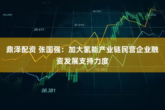 鼎泽配资 张国强：加大氢能产业链民营企业融资发展支持力度