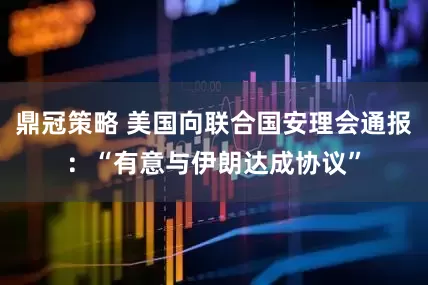 鼎冠策略 美国向联合国安理会通报：“有意与伊朗达成协议”