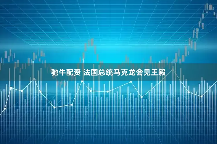 驰牛配资 法国总统马克龙会见王毅