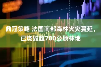 鼎冠策略 法国南部森林火灾蔓延，已烧毁超700公顷林地