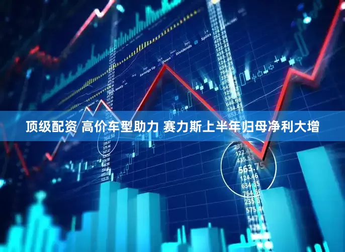 顶级配资 高价车型助力 赛力斯上半年归母净利大增